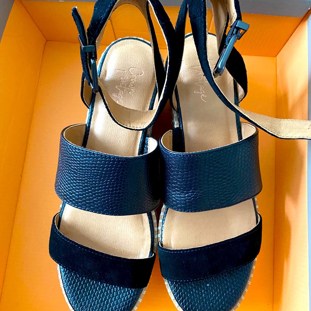 Black Wedge (New)